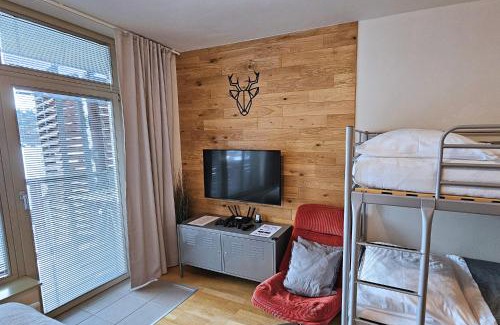 Harrachov Apartment | ENJOYHARRACHOV - Atraktivní slunné studio Čertovka v centru Harrachova s garážovým parkováním, Wifi-WLAN, Ipad, SAT, herní konzolí, Netflix zdarma a nejkrásnějším výhledem na Čertovu horu s areálem skokanských můstků a sjezdovku