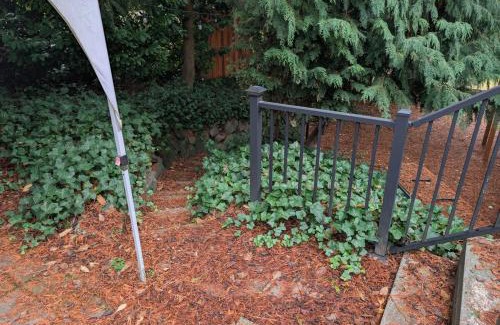 Seattle Metro Area House | Entire ADU with hottub