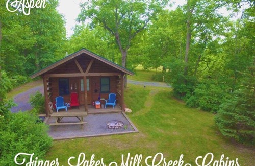 Lodi Cabin | Entire campground with 3 cabins