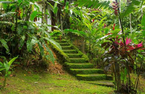 Picinguaba House | Entre o Mar e a Floresta Casa das Pedras