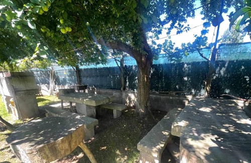 Neano Apartment | Apartment Añon 1