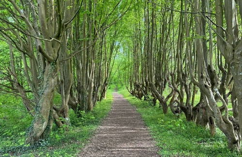 Pinnow House | Escape the big city to the breathtaking village house in Pinnow