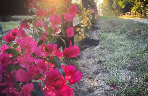 Sorrento Cottage | Escape to a 3 Day Digital Detox Cottage at a Boutique Wellness Horse Ranch!