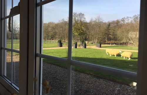 Worplesdon Cottage | Escape to the country. A Secluded Village Cottage, Pretty Garden Position