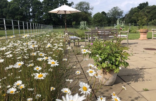 Worplesdon Cottage | Escape to the country. A Secluded Village Cottage, Pretty Garden Position