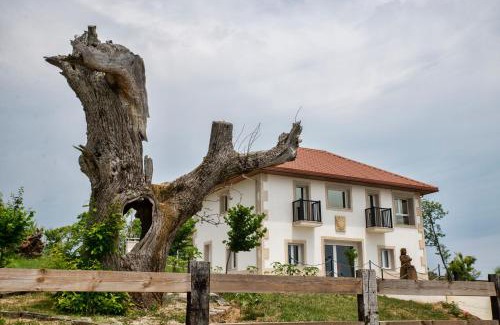 Vilardevos Apartment | Esperanza de a Trabe