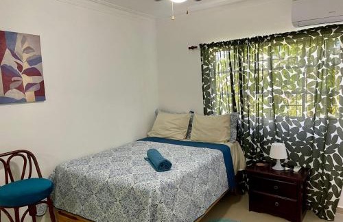 Playa Bibijagua Apartment | espinal1 bok