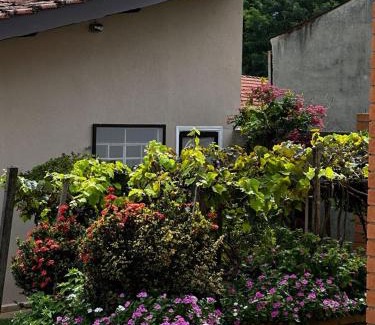 Espirito Santo Do Pinhal House | Espirito Santo do Pinhal