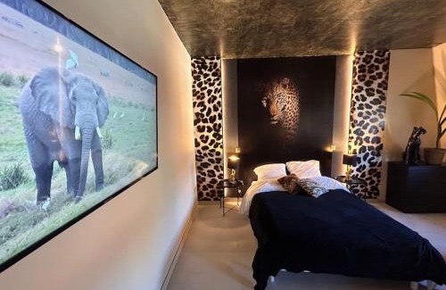 Mulhouse Apartment | Esprit AFRICA, SPA et SAUNA de luxe