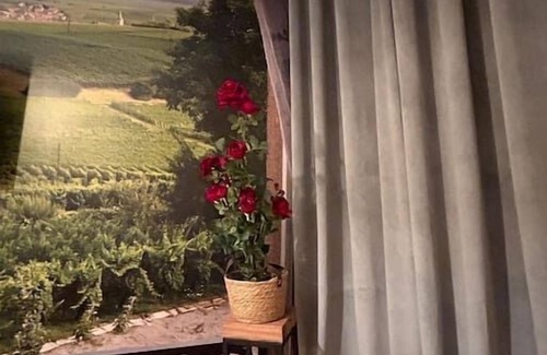 Mulhouse Apartment | Esprit Alsace: 70m2 de Charme au Coeur de Mulhouse