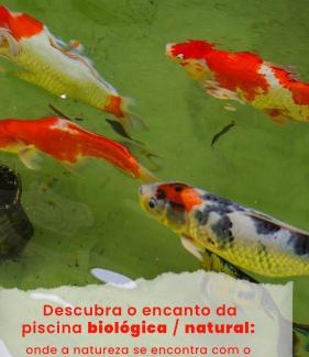 Itapira Hotel | Estúdio em Contêiner no Bosque