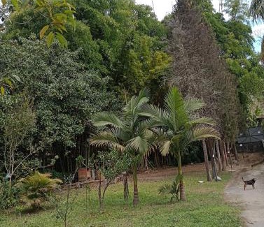 Olaria Apartment | Estúdio Som do Riacho