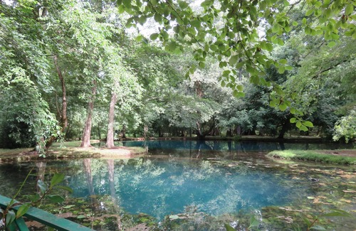 Saint Palais Cottage | Estuaire Gironde - Near BLAYE In the vineyards at 1 km shops Gite 75m²
