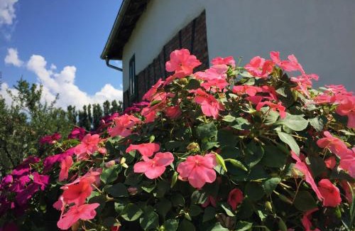 Nisava District House | Etno Kuća - Rakić