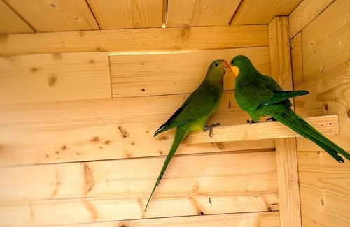 Central Serbia Apartment | Etno selo Rasinski Lug