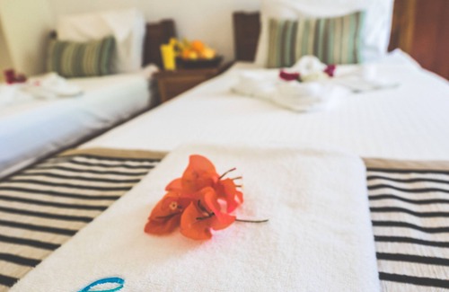 Daanbantayan Hotel | Evolution Dive and Beach Resort