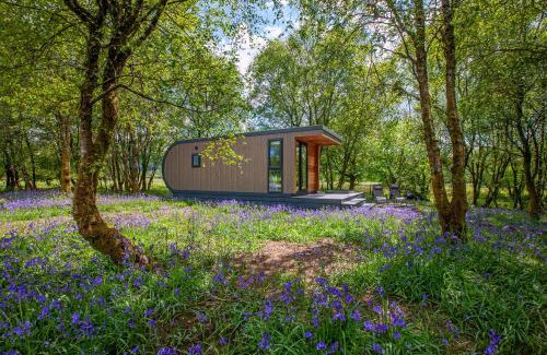 Benderloch Apartment | Ewe pod, luxury glamping pod with hot tub, Croft4glamping