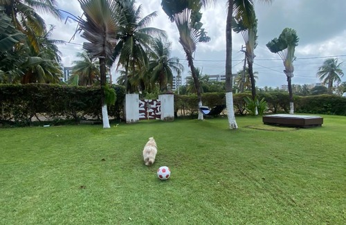 Paiva House | Excellent Beach House in Paiva. Collect Moments