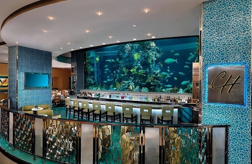 Downtown Las Vegas Hotel | Exciting Entertainment Right On-site! 2 Pools, Shopping!
