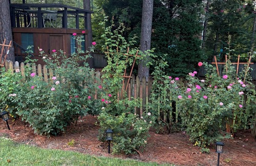 Aiken House | Executive Home Gated Golf Community close to Masters!