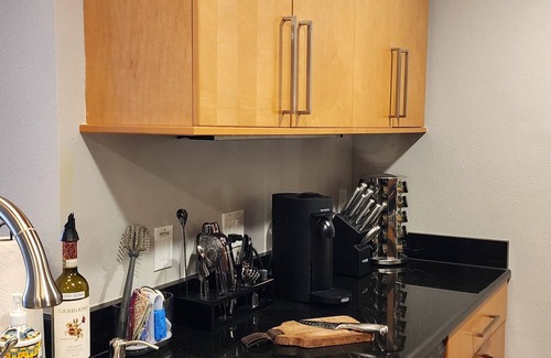 LoDo Condo | Executive LoDo Condo in the Heart of the City