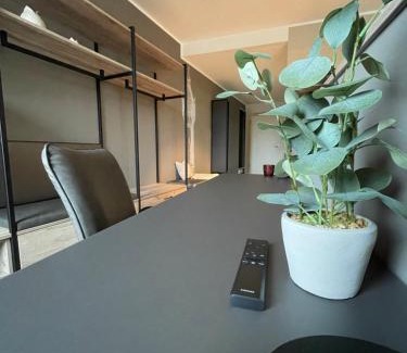 Delitzsch Apartment | Exklusives Wohnen im historischen Wasserturm dem Highlight von Delitzsch WE320