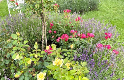 Lollbach Apartment | Experience pure nature in our idyllic double room right on the edge of the forest!