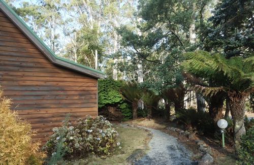 Moina Ski Chalet | Experience Tranquility and Nature at Cradle Gateway Chalets