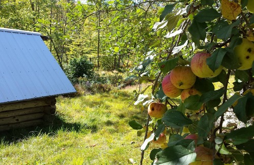 Carthage Cabin | Explore the mountains of western Maine from Colby's Cabin