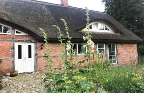 Garz/Rugen Apartment | F-1081 Ferienwohnung Pfarrhof in Garz