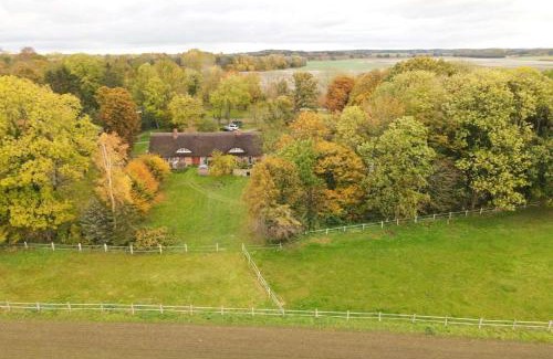 Garz/Rugen Apartment | F-1081 Ferienwohnung Pfarrhof in Garz