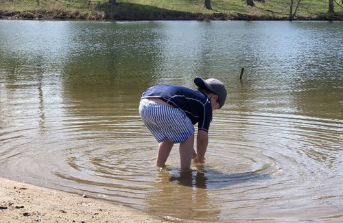 Innsbrook Cabin | Fabulous chalet surrounded by a lake with rocked shoreline for water fun!