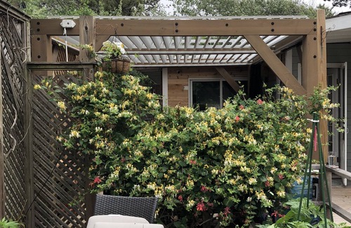 Fair Harbor Cottage | Fair Harbor Fire island