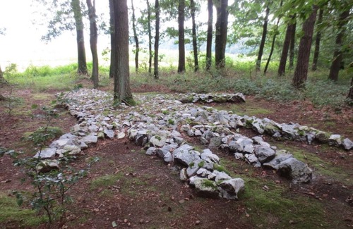 Rothhelmshausen Apartment | Fairytale vacations with Meinecard plus in the home of the Brothers Grimm