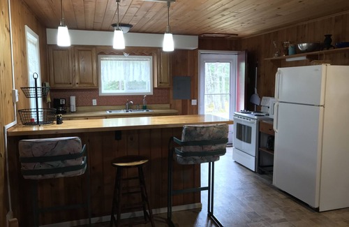 Wellston Cabin | Falling Leaf Retreat Creek Frontage! Privacy! Near Trails, Big Manistee River