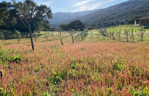 El Colmenar Villa | FAMILIAR y UNICA VILLA EN GAUCIN