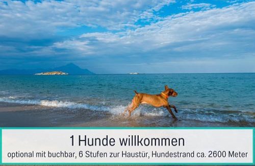 Zinnowitz Apartment | Familienglück - Viel Platz für Familien mit Hund