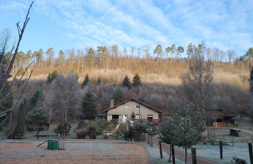 Soucht Cottage | family and spacious cottage in the middle of the forest ideal hikes in the country of bitche