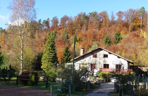 Soucht Cottage | family and spacious cottage in the middle of the forest ideal hikes in the country of bitche
