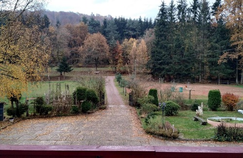 Soucht Cottage | family and spacious cottage in the middle of the forest ideal hikes in the country of bitche