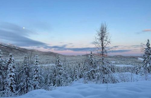 Ringerike Municipality House | Family Cabin With Panoramic View Near Vikerfjellet