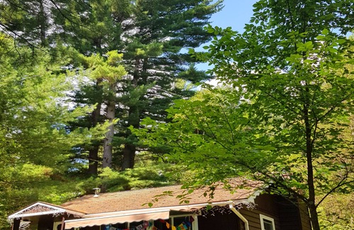 Wilmington Ski Chalet | Family Chalet with Fireplace under Pine trees