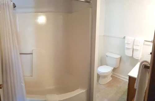 Wilmington Ski Chalet | Family Chalet with fireplace under Pine trees