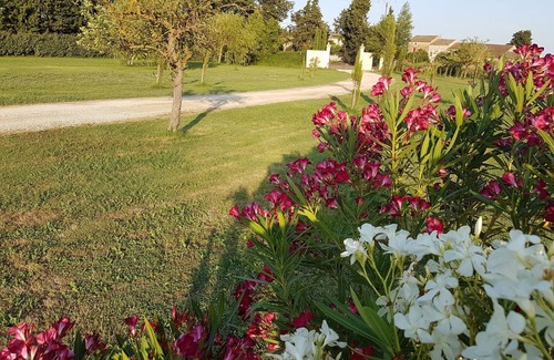 Althen-des-Paluds House | Family farmhouse with pool in the heart of Provence 15 minutes from Avignon