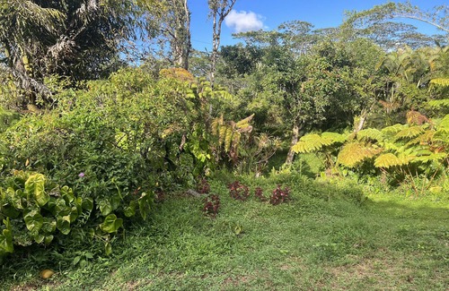 Keaau House | Family friendly, centrally located 2lvl home with epic furniture and fruit trees