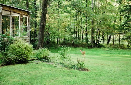 Bearsville House | Family-Friendly Retreat Close to Town w/Heated Pool & Hot Tub on 3 Acres