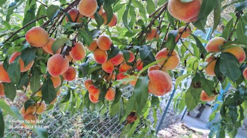 Ramgarh Apartment | Family Room with Skydeck