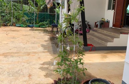 Nang Lae House | Family Vacation Chiangrai