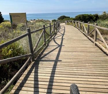 Urbanizacion Pinos Verdes Apartment | Fancy duplex penthouse in Carib Playa Cabopino