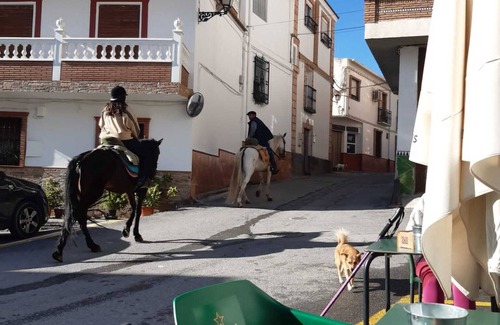 Albunuelas House | Fantastic 4 Bedroom House/Private Pool in Lecrin on G7/30mins beach and Granada